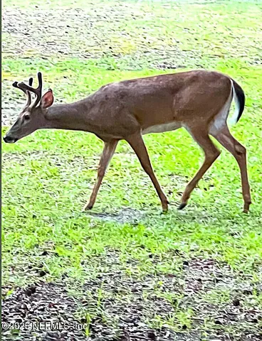 $349,000 | 6928 Gilda Court, Keystone Heights, FL 32656