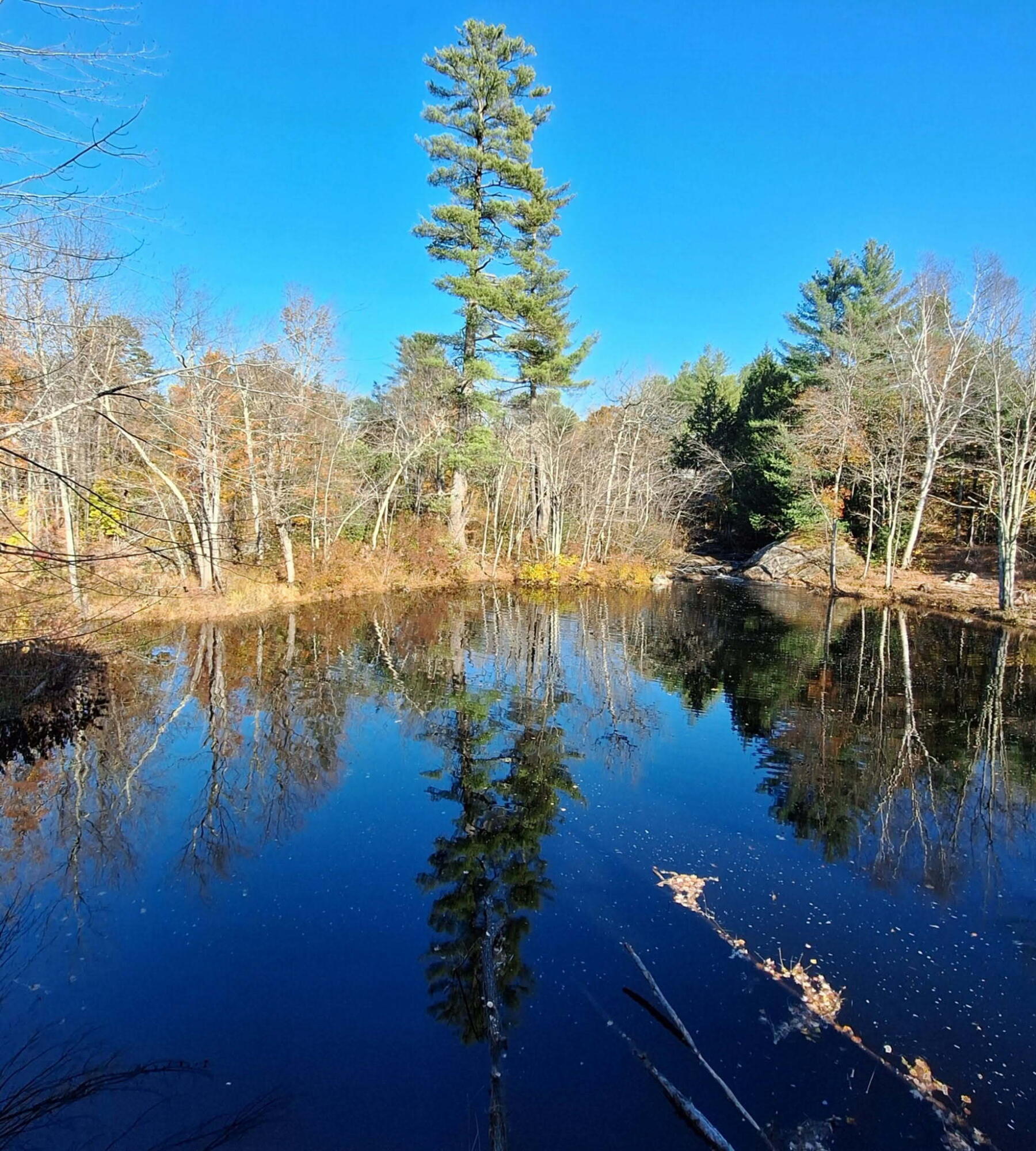 14 Butterfield Road Sumner, ME 04292 - Photo 15 of 18 2a2d61f0-7840-43fa-879e-298d5b1d944e