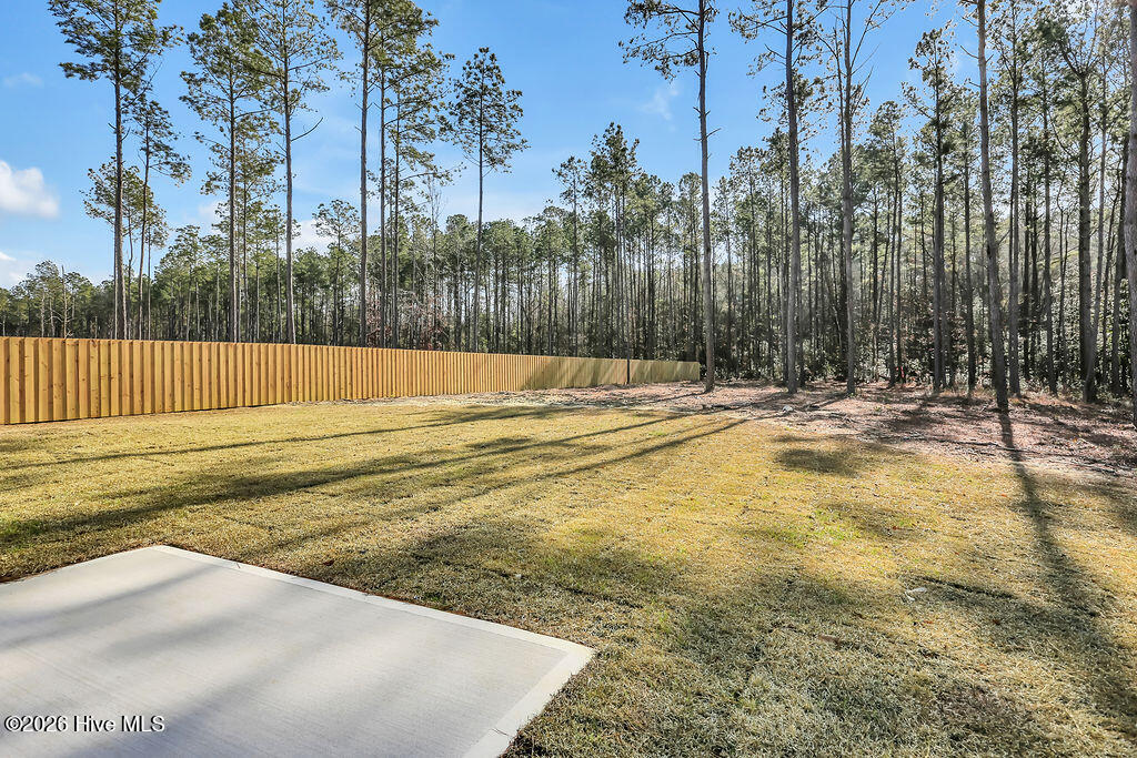 11167 Ashton Road Burgaw, NC 28425 - Photo 31 of 33 11167AshtonRoad-36