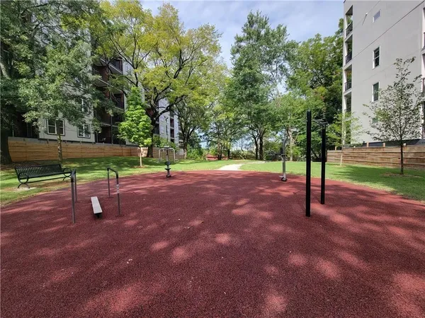 a view of a park with large trees