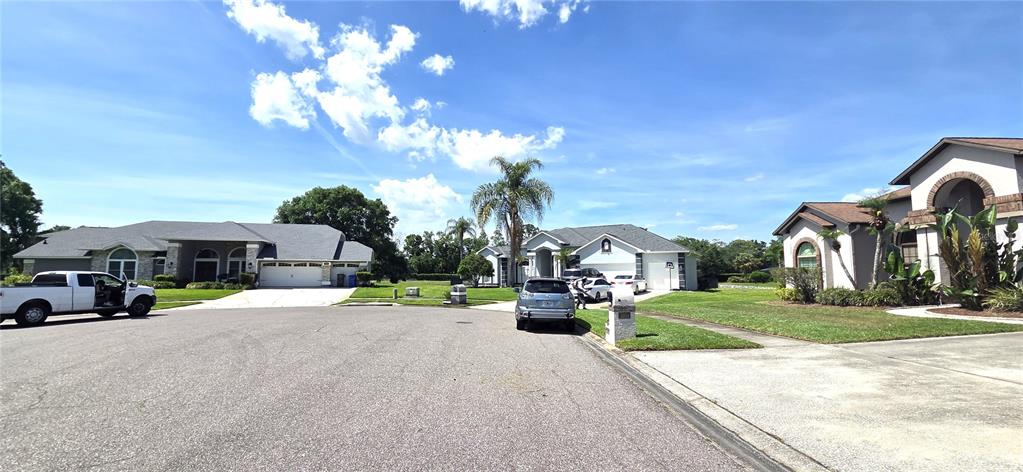 3904 Hidden Spring Place Valrico, FL 33596 - Photo 51 of 52
