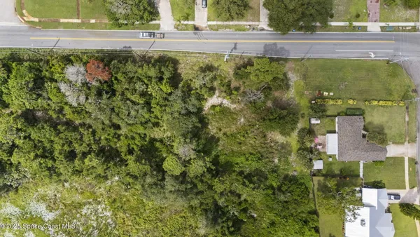 a view of a garden from a window