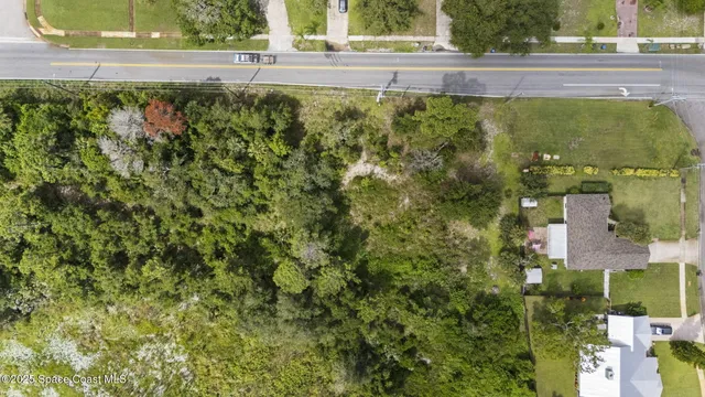 a view of a garden from a window