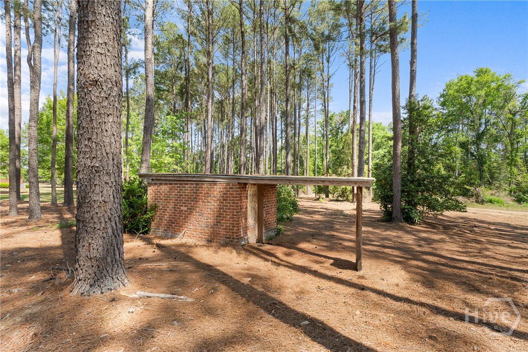 392 Indigo Hills Road Pembroke, GA 31321 - Photo 39 of 49