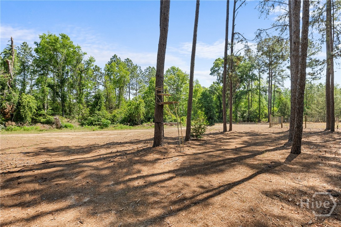 392 Indigo Hills Road Pembroke, GA 31321 - Photo 40 of 49