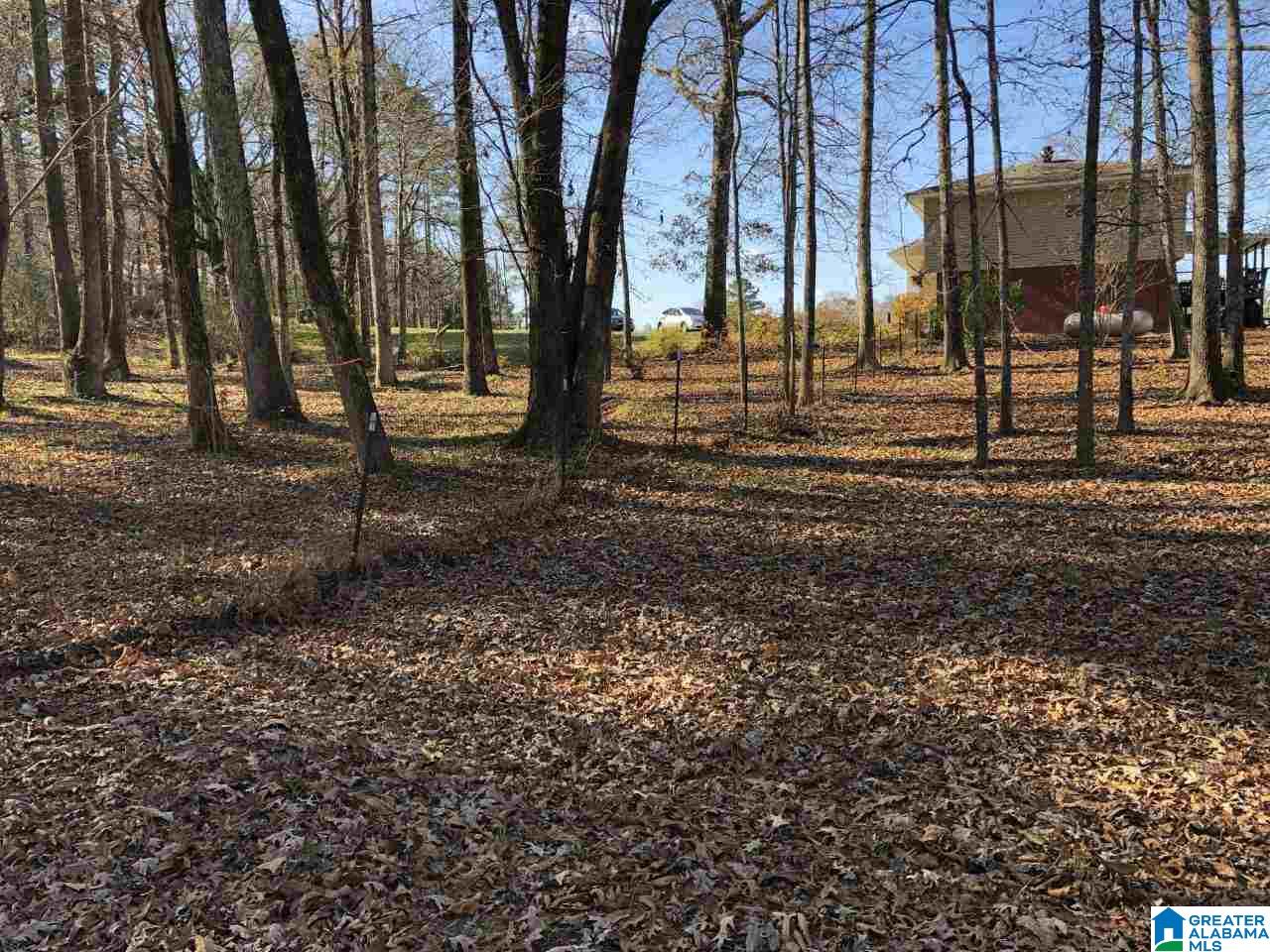 3337 Nail Road Warrior, AL 35180 - Photo 48 of 50