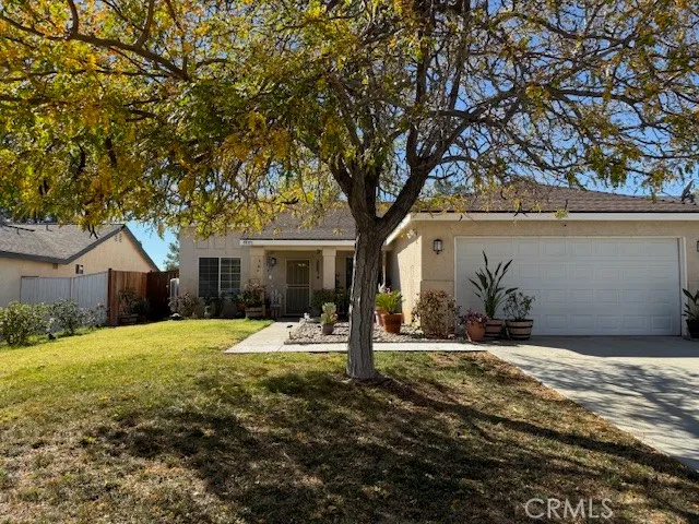 a tree in front of a white house