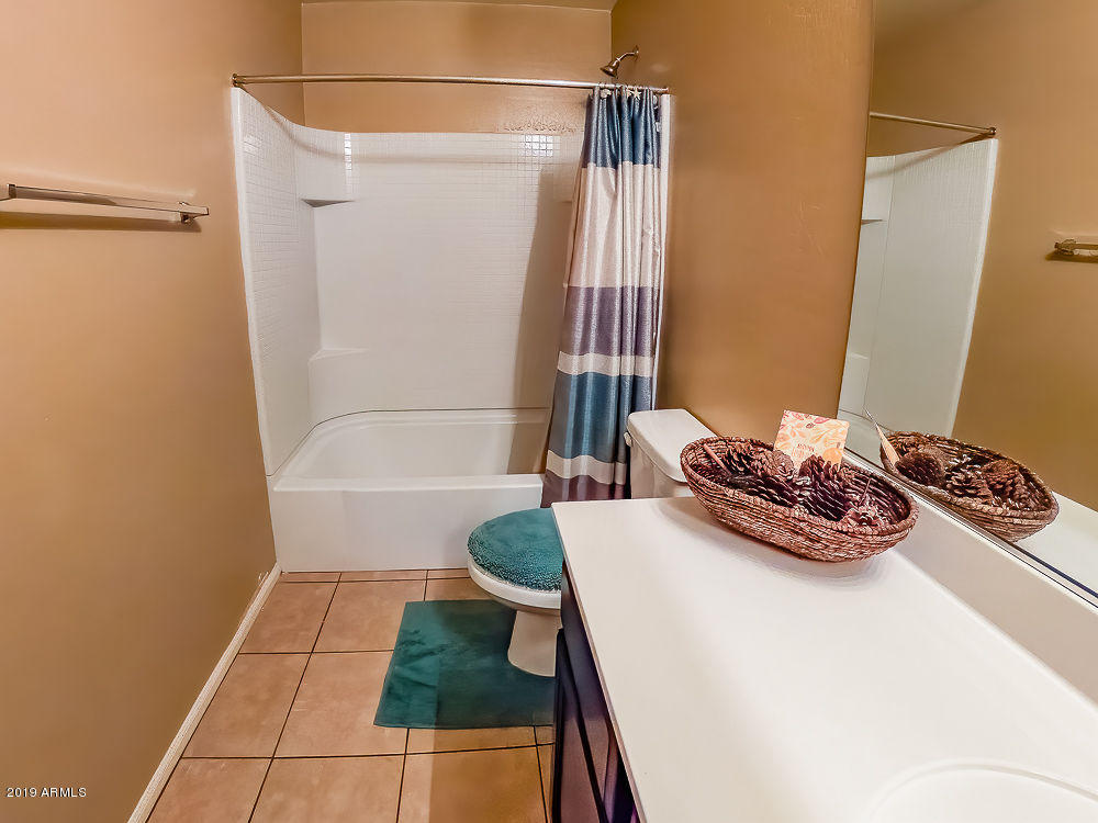 8726 West Payson Road Tolleson, AZ 85353 - Photo 8 of 16 bath