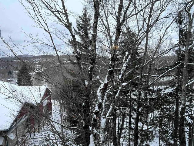 $27,000 | 208-210 Grand Summit Way, West Dover, VT 05356