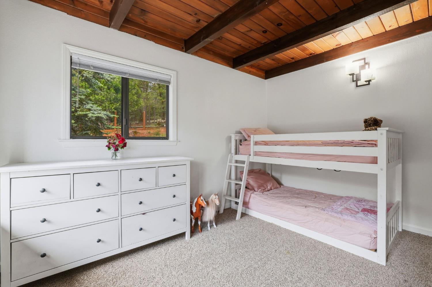 4061 Cedar Drive Georgetown, CA 95634 - Photo 33 of 63