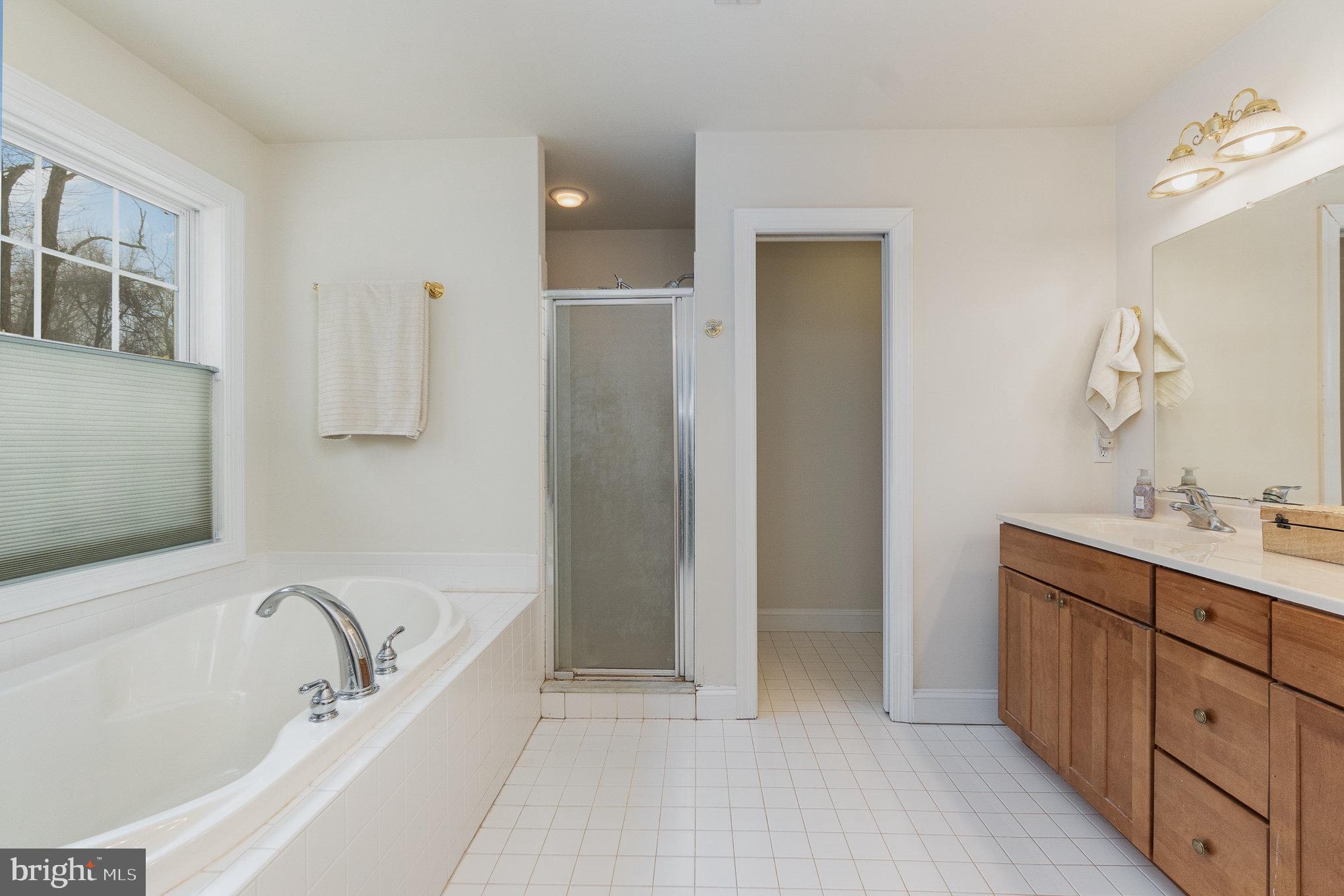 733 Rock Run Road Port Deposit, MD 21904 - Photo 11 of 21 Master bathroom w/Double Vanity