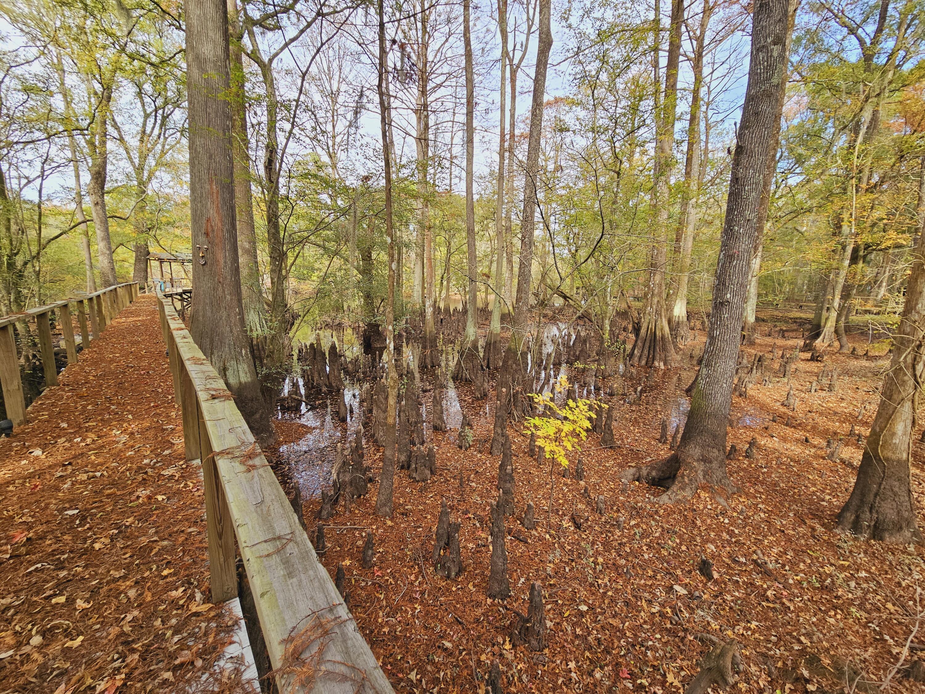 3695 Cannon Road Round O, SC 29474 - Photo 7 of 46 20231116_133806