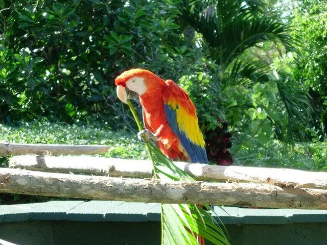 $539,000 | 2800 North Ocean Drive, Unit B 6D, Singer Island, FL 33404