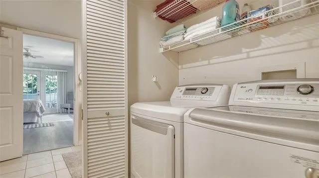 a view of a yard with plants and large trees