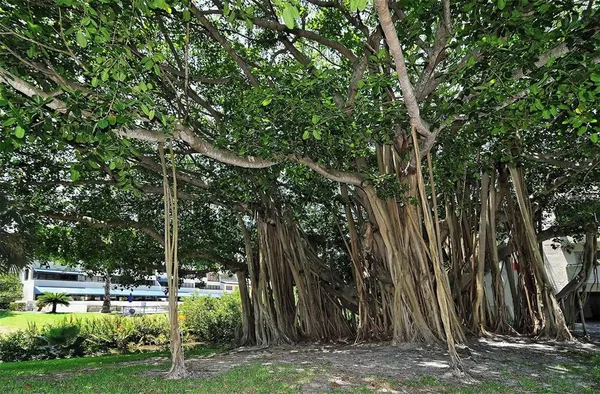 a view of a porch with furniture