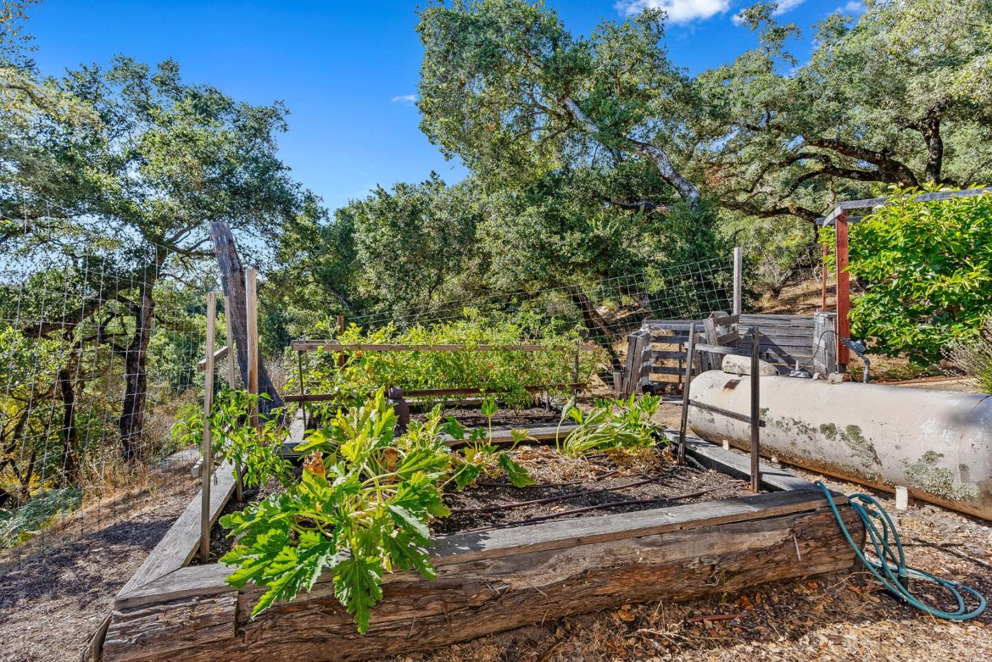 1375 Weston Ridge Road Scotts Valley, CA 95066 - Photo 52 of 68