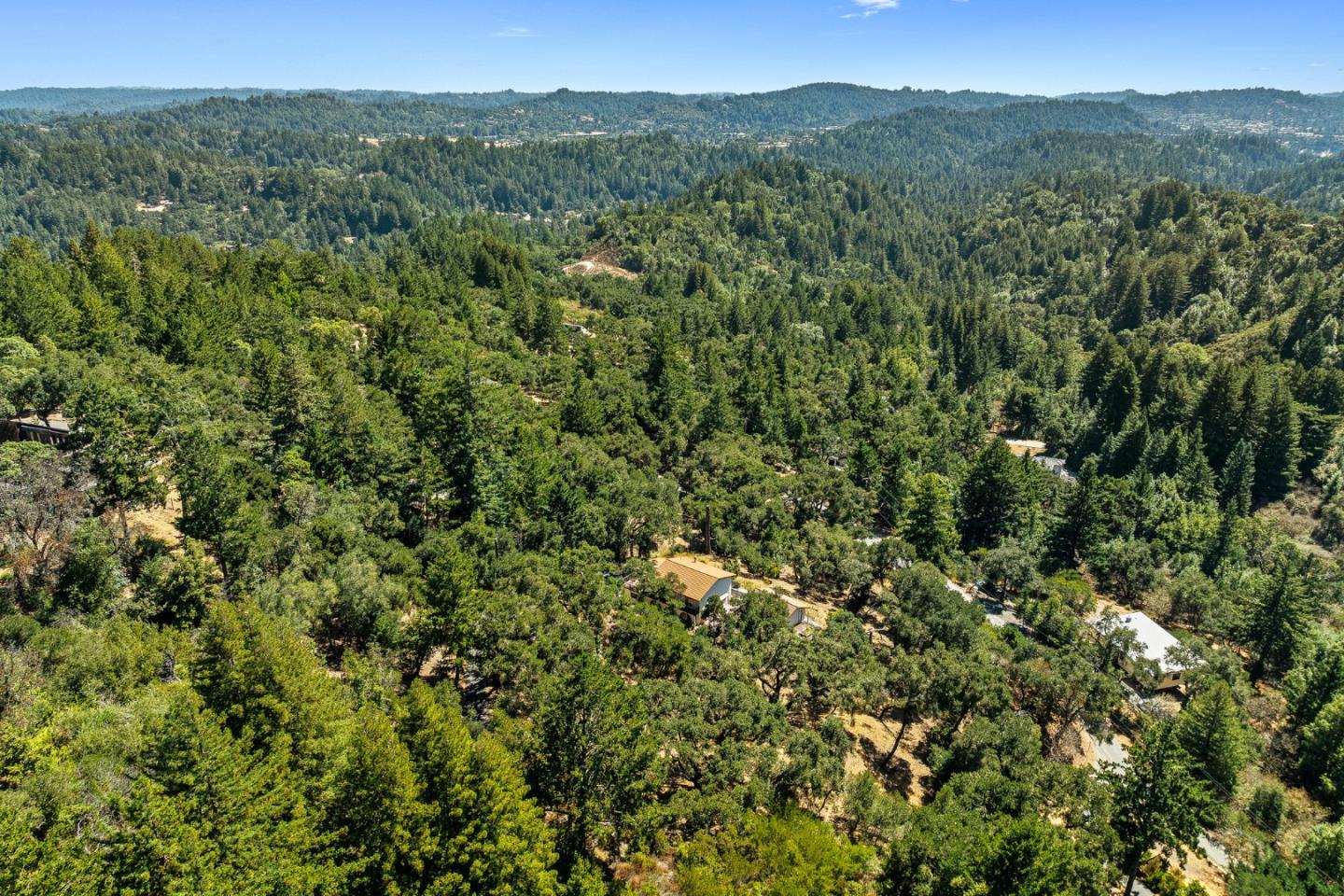 1375 Weston Ridge Road Scotts Valley, CA 95066 - Photo 58 of 68 a view of a lush green forest with lush green forest