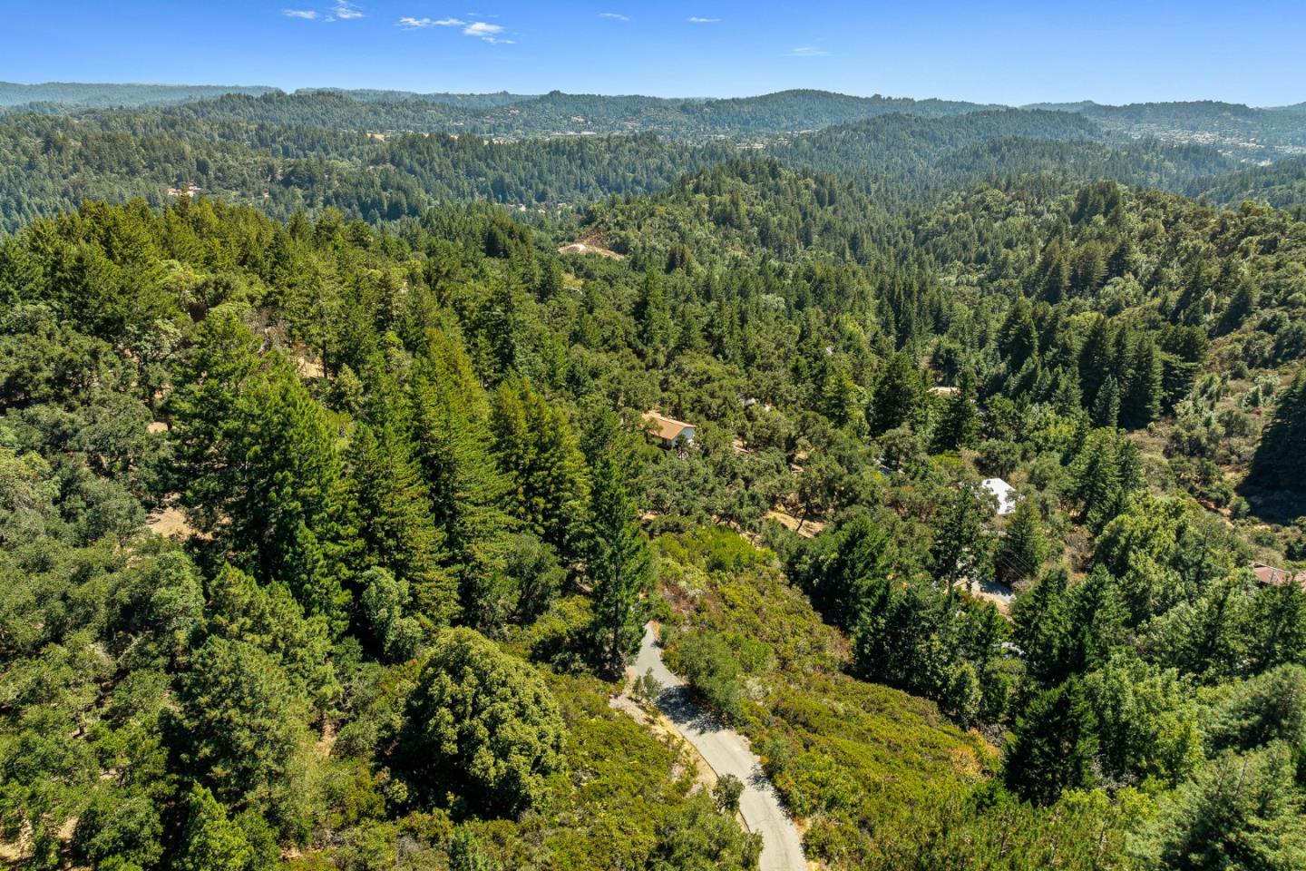 1375 Weston Ridge Road Scotts Valley, CA 95066 - Photo 59 of 68 a view of a lush green forest with lush green forest