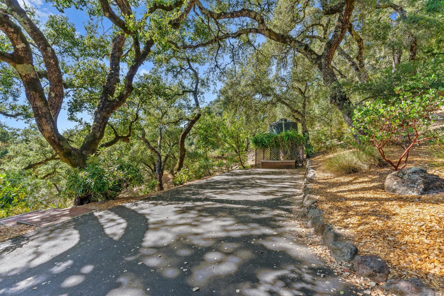 1375 Weston Ridge Road Scotts Valley, CA 95066 - Photo 6 of 68 a view of a yard with plants and trees
