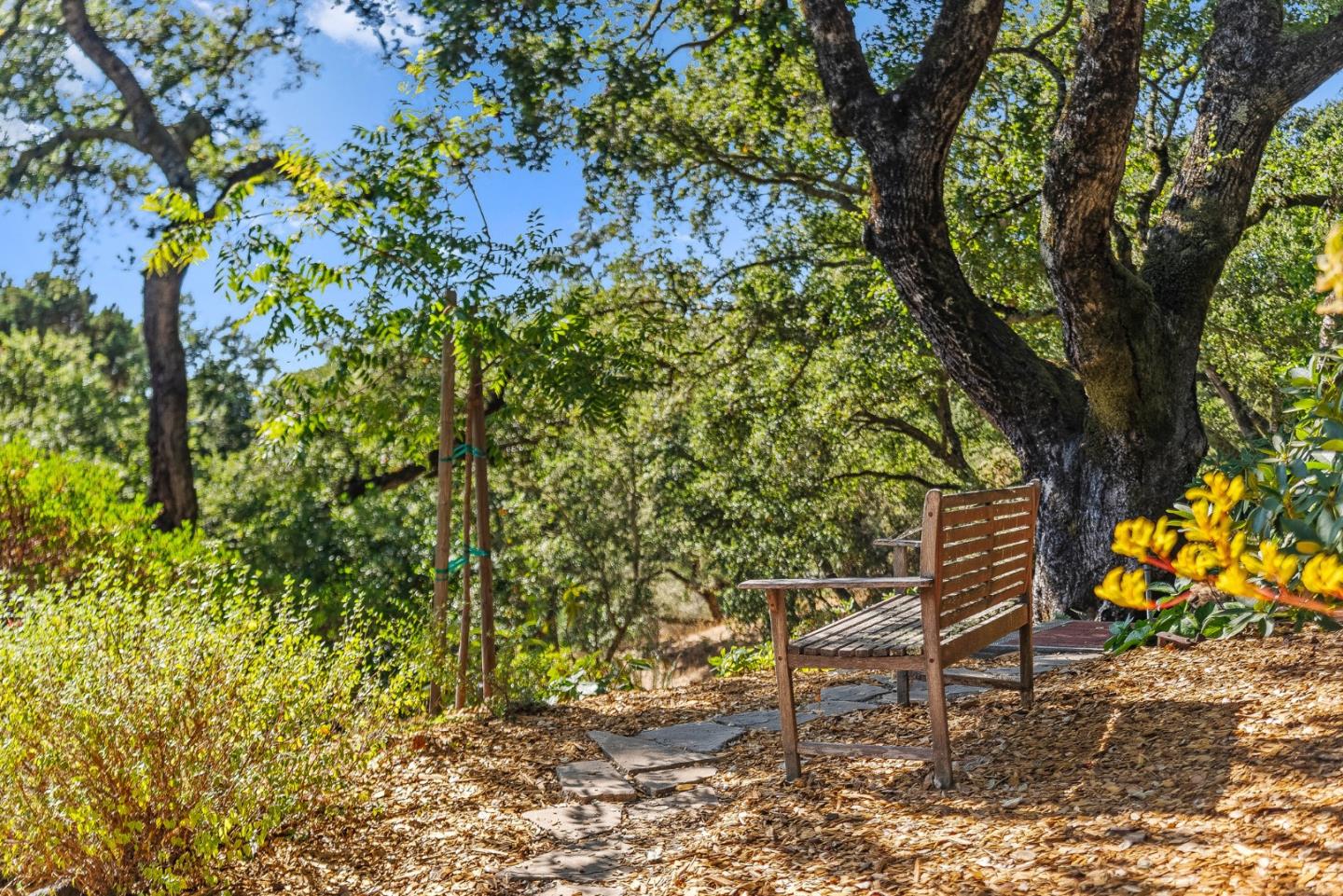 1375 Weston Ridge Road Scotts Valley, CA 95066 - Photo 8 of 68 a backyard of a house with table and chairs under an umbrella