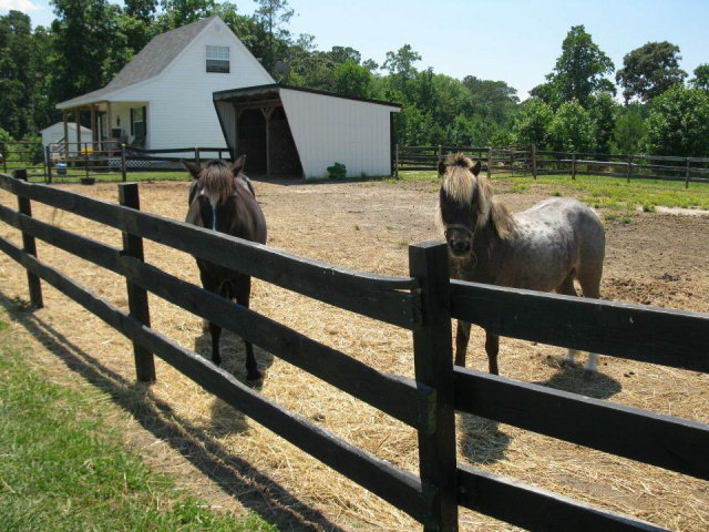 12044 Atlantic Road Temperanceville, VA 23442 - Photo 56 of 70