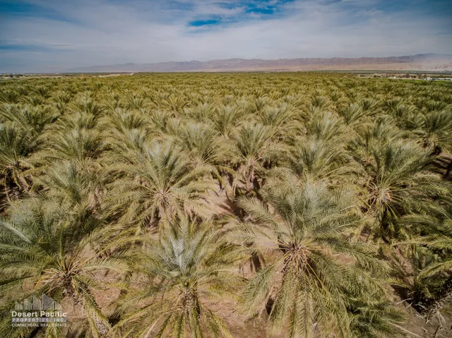 $2,625,000 | 0 North Ave 62 Street, Thermal, CA 92274