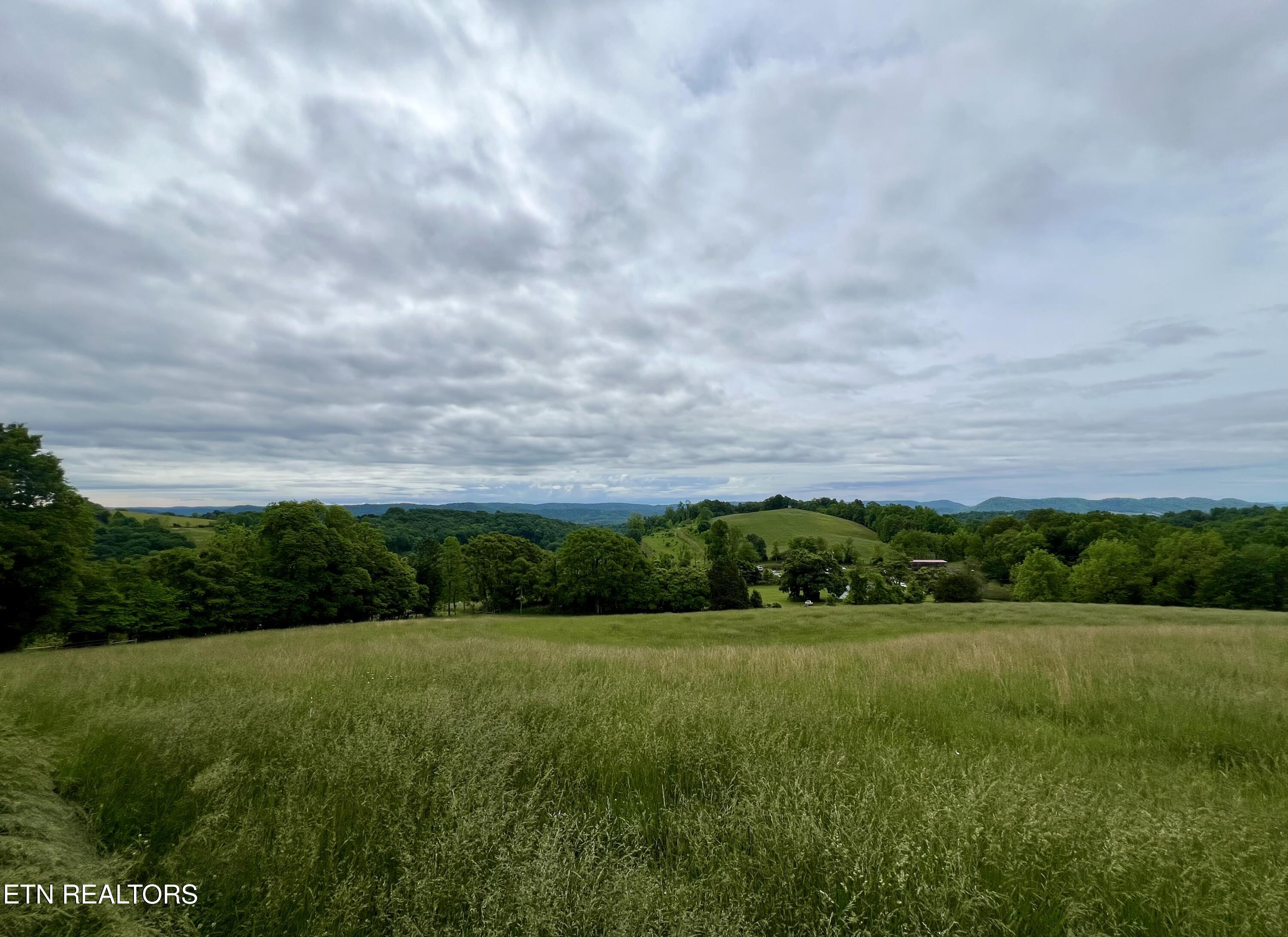 Tbd Giles Lane Harrogate, TN 37752 - Photo 5 of 14 IMG_5840