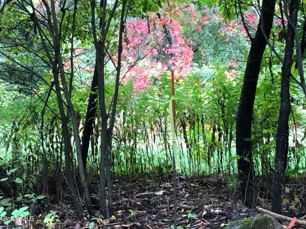 $30,000 | 68 Lakeview Avenue, Moriah, NY 12960