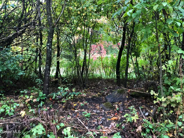 $39,000 | 68 Lakeview Avenue, Moriah, NY 12960