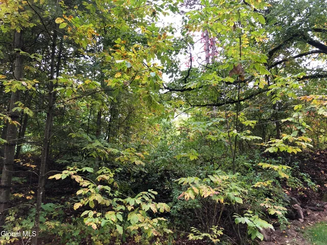 $39,000 | 68 Lakeview Avenue, Moriah, NY 12960