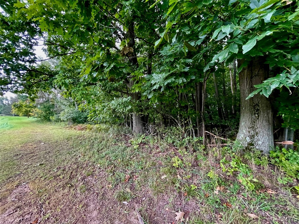 0 Co Rt 5 Pulaski, NY 13142 - Photo 1 of 1