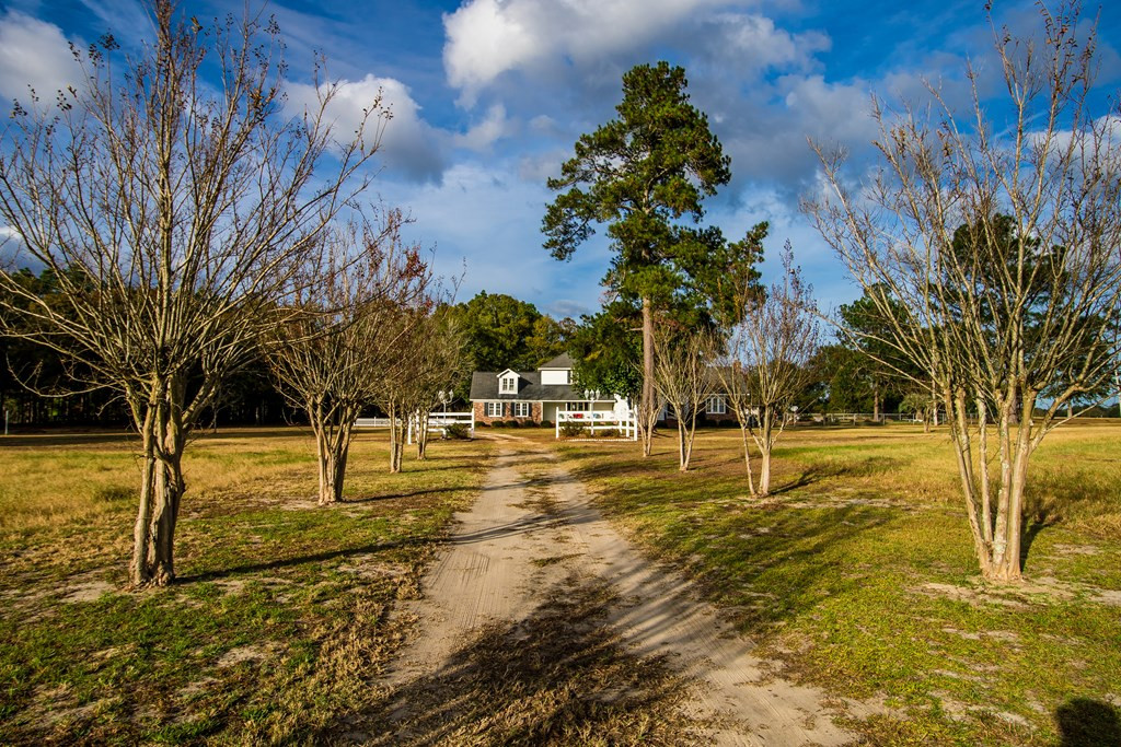 161 Christian Road Barnwell, SC 29812 - Photo 58 of 71