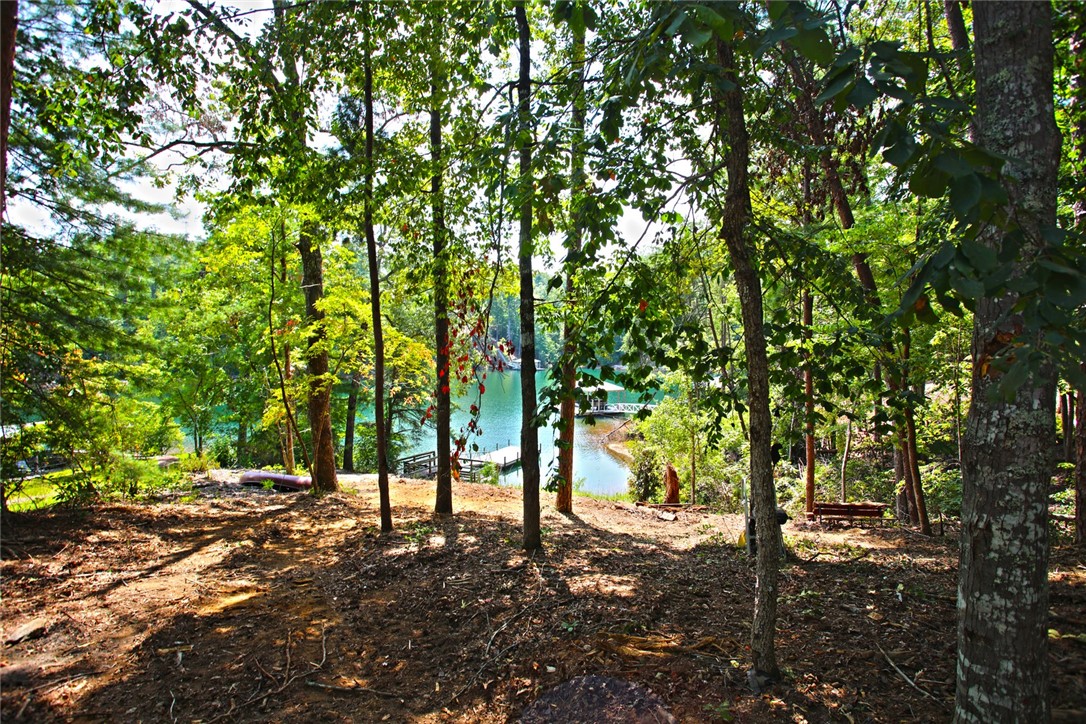 590 Old Chapman Bridge Road Salem, SC 29676 - Photo 28 of 43 Mature trees frame a peaceful view of the water and private dock.