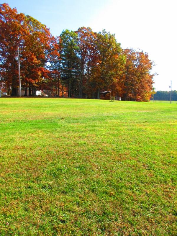 750 Huffville Road Northeast Pilot, VA 24138 - Photo 27 of 47 IMG_7851 (600x800)