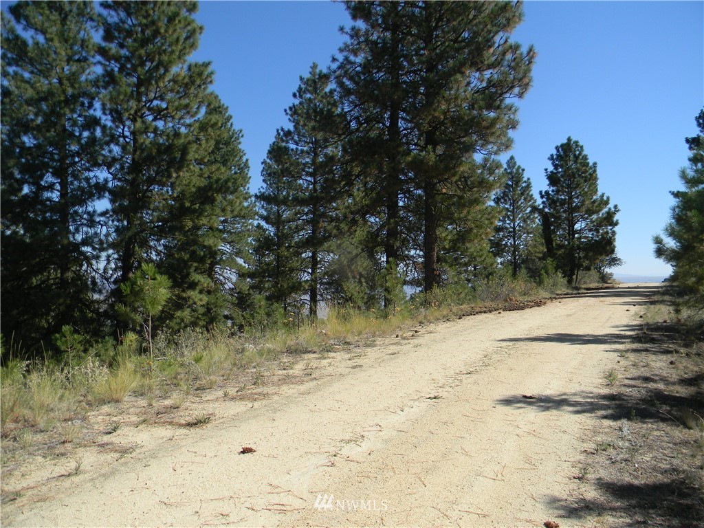 0 East Mountain Point Road Brewster, WA 98812 - Photo 14 of 19 Gallery Image 14