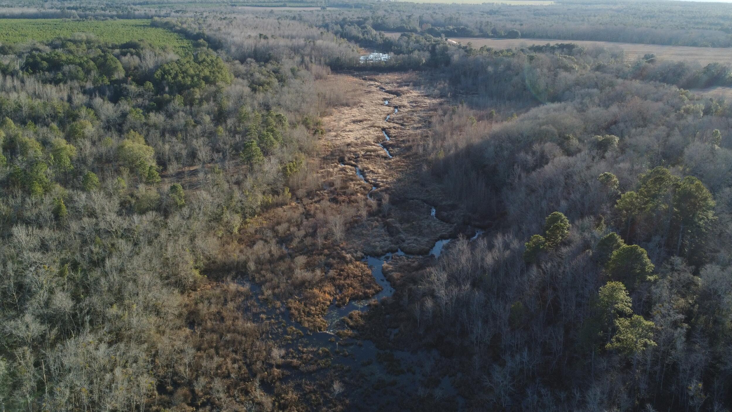 0 Millers Pond Road Salley, SC 29137 - Photo 16 of 28