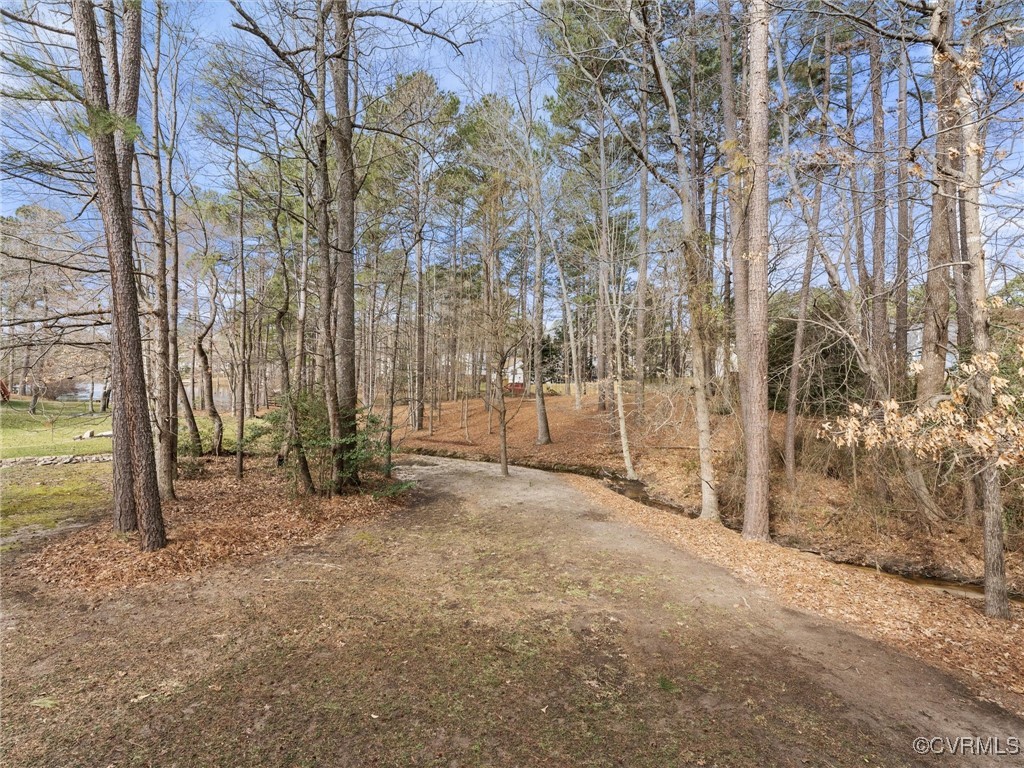 3640 Markey Road Midlothian, VA 23112 - Photo 7 of 42 a view of a forest with trees in the background