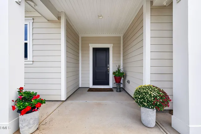 a potted plant sitting in front of a house