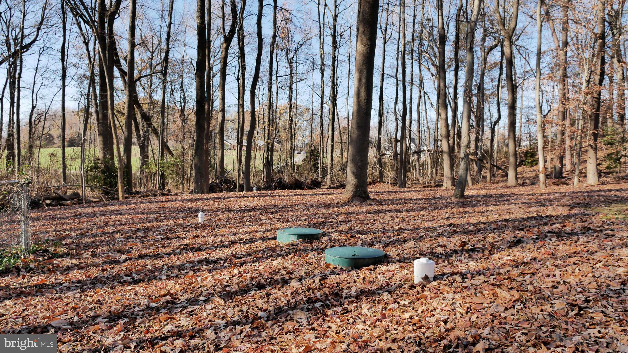 960 Bowie Shop Road Huntingtown, MD 20639 - Photo 65 of 69 a view of outdoor space with trees