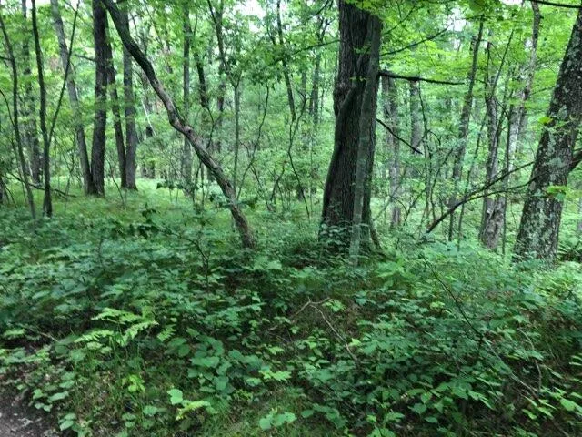 $226,500 | 7752 North Felch, White Cloud, MI 49349