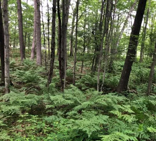 $226,500 | 7752 North Felch, White Cloud, MI 49349