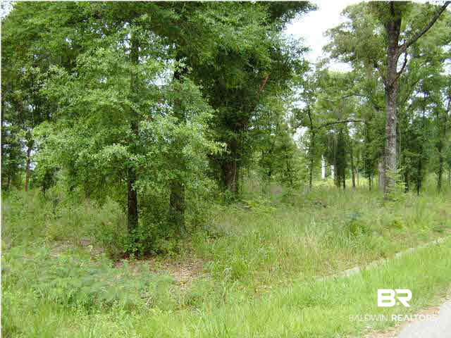 0 Stagner Road Chunchula, AL 36521 - Photo 1 of 1
