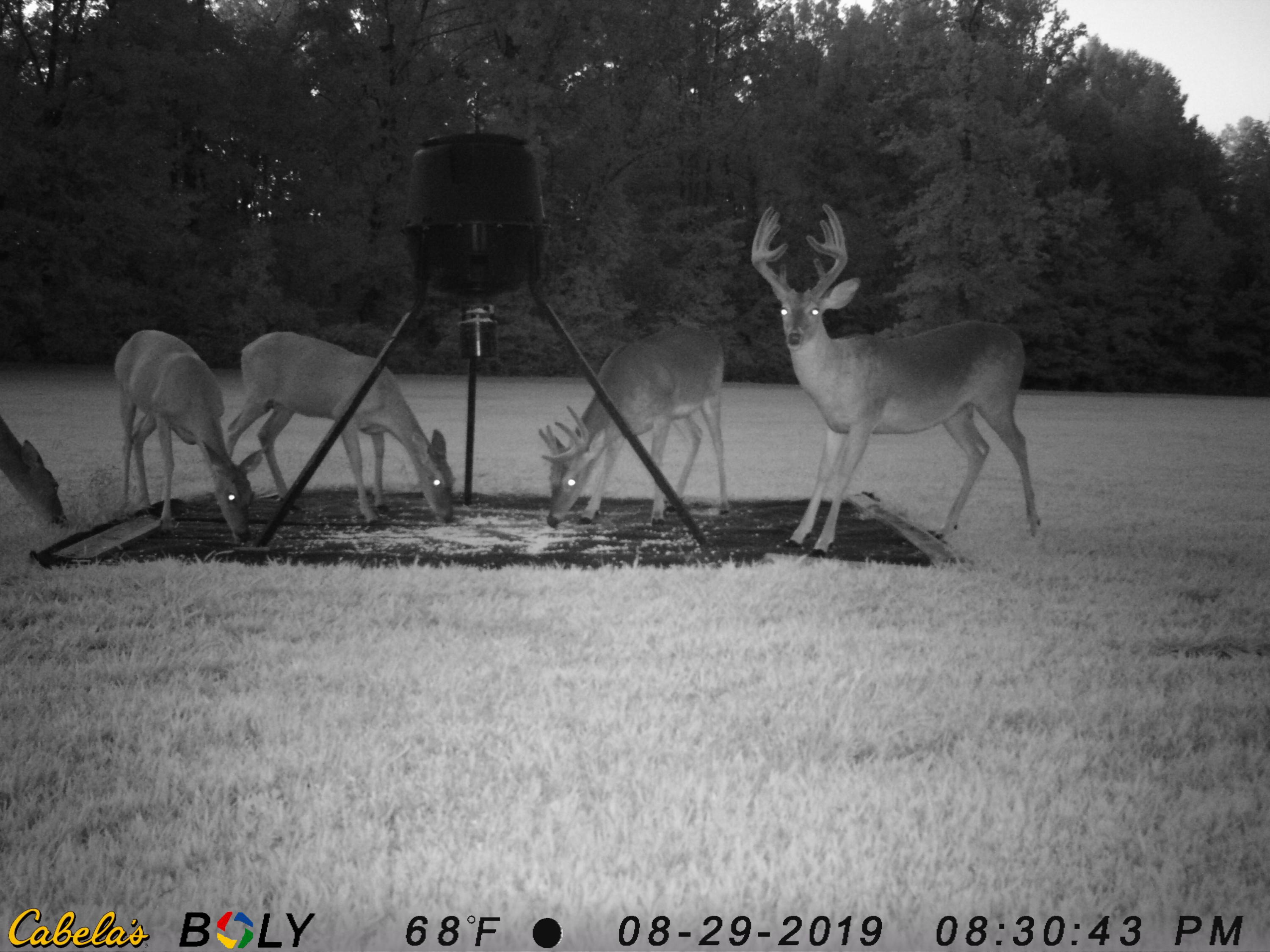 140 Warren Road Lyerly, GA 30730 - Photo 116 of 117 IMAG0411.JPG