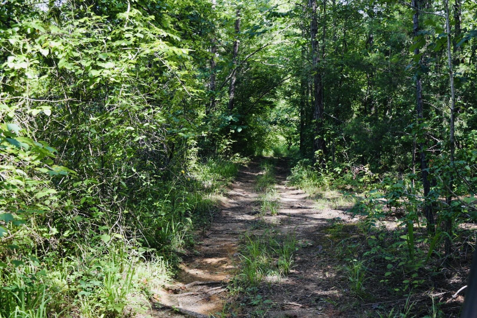 140 Warren Road Lyerly, GA 30730 - Photo 29 of 117 IMG_4361