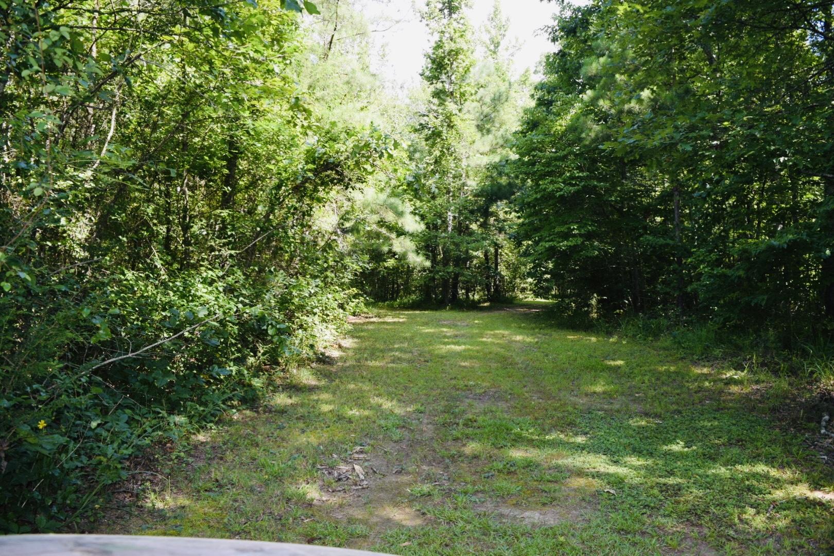 140 Warren Road Lyerly, GA 30730 - Photo 31 of 117 IMG_4363