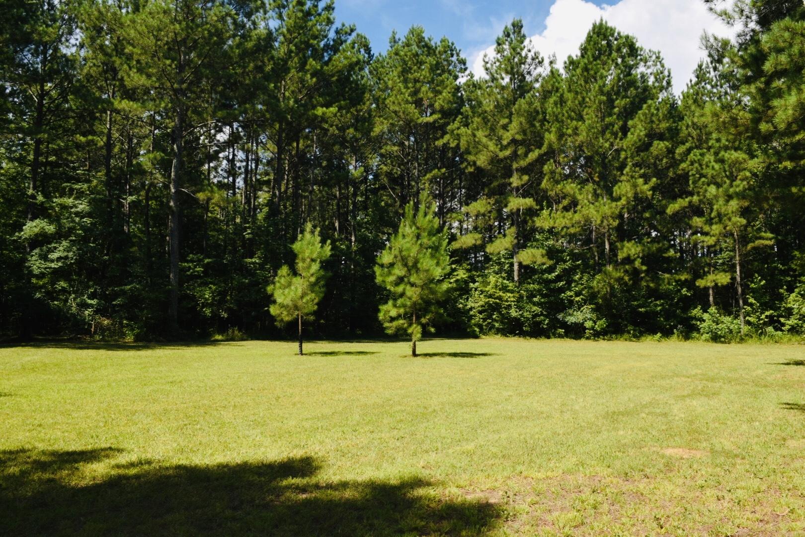 140 Warren Road Lyerly, GA 30730 - Photo 36 of 117 IMG_4368