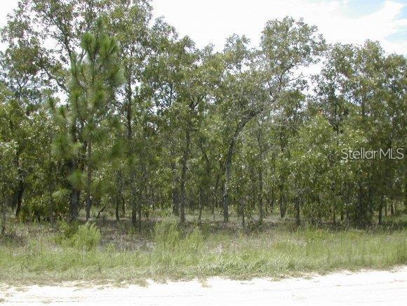 0 Southwest 125th Ct Road Ocala, FL 34481 - Photo 1 of 1 Gallery Image 1
