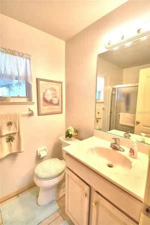 a bathroom with a sink a toilet and mirror