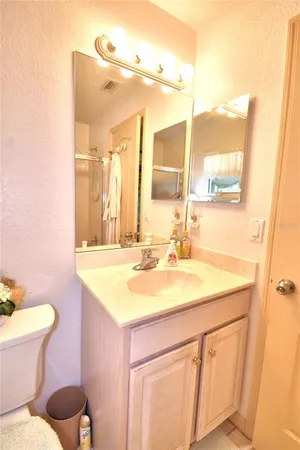 a bathroom with a sink toilet vanity and mirror