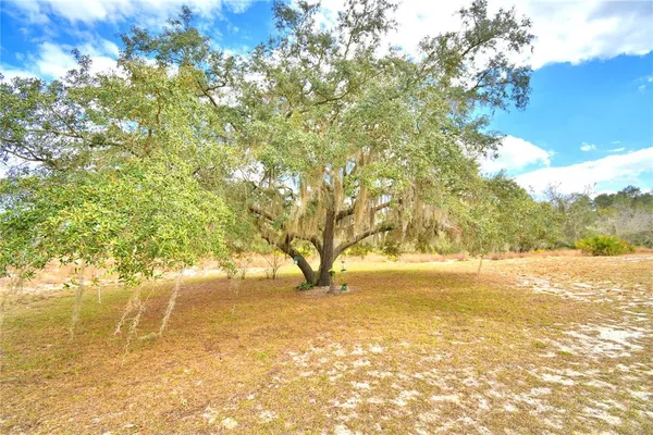 a view of an ocean and a mountain